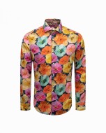 Multicolore Multicolore