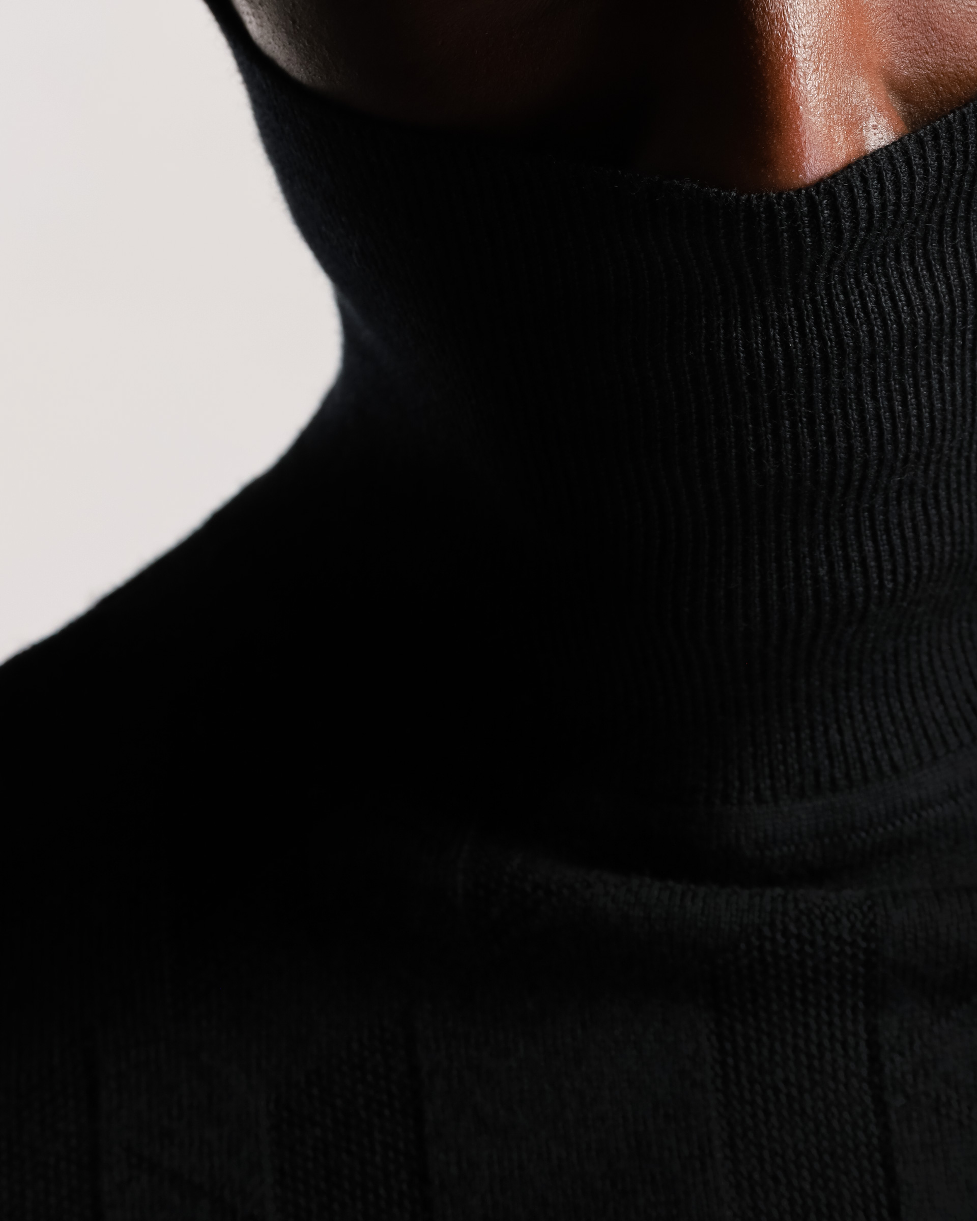 Karl Lagerfeld Turtleneck sweater