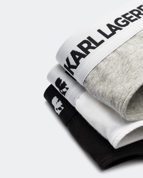 Karl Lagerfeld Briefs Karl Lagerfeld Briefs