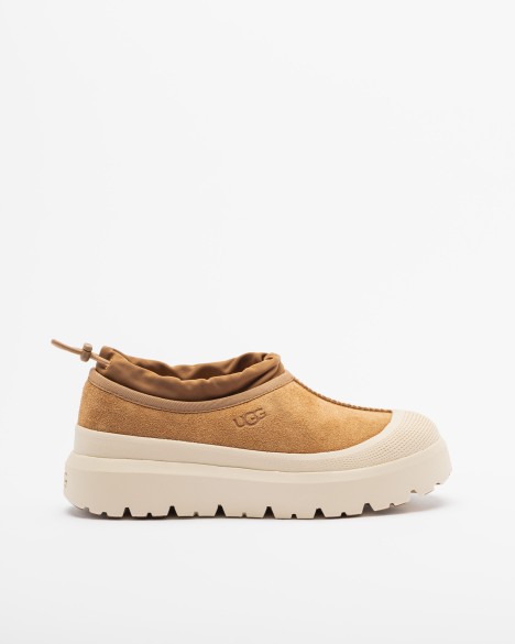 Ugg Shoes