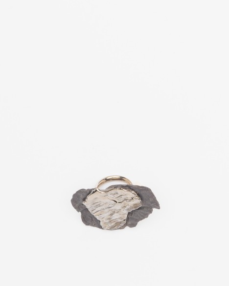 Anillo Cautero
