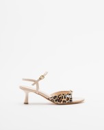  Leopardo
