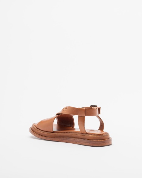 Sand�lias PROF