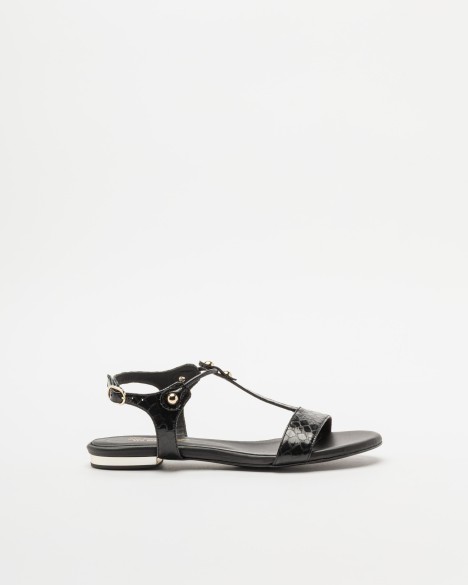 Sand�lias PROF