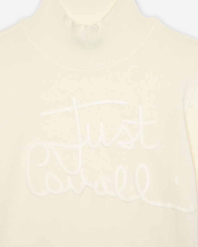 Pull col montant Just Cavalli