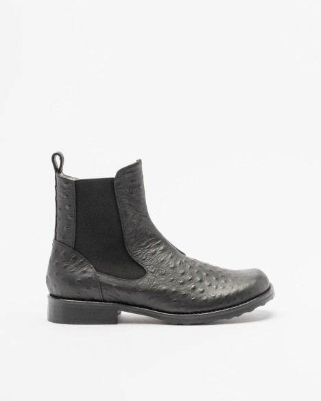 Bottines Malloni Bottines Malloni