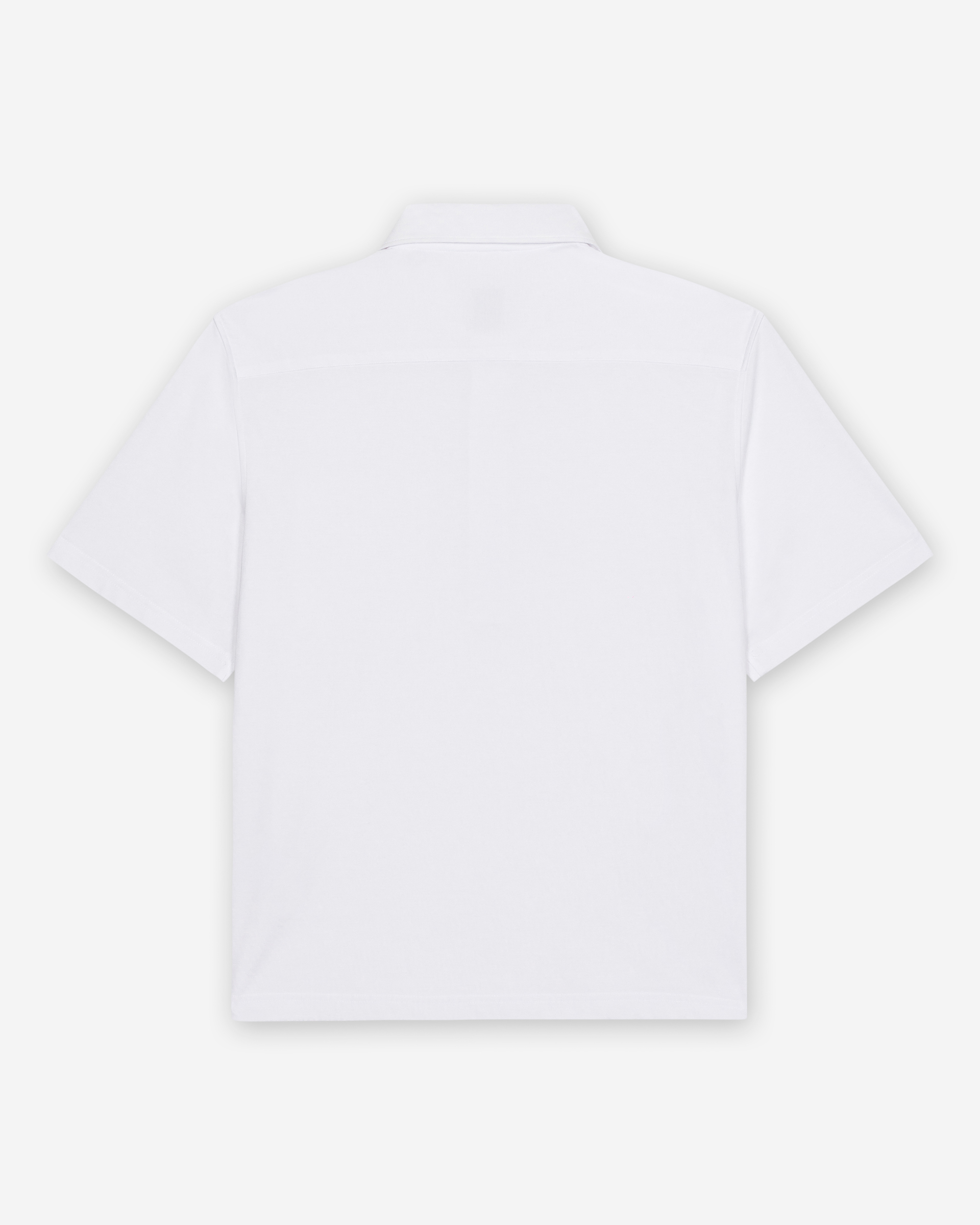 Polo Seinse