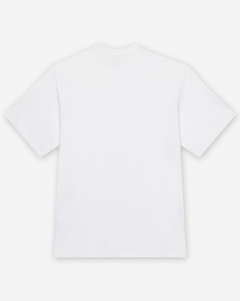 Camiseta The North Face