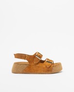 Camur�a 04 Camel
