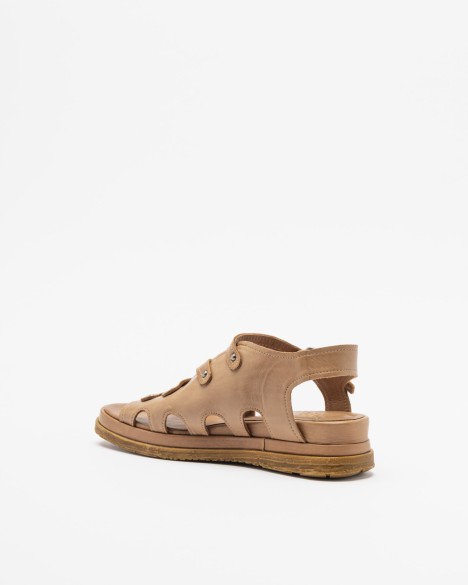 Sand�lias PROF