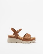 Camel Camel