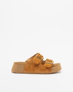 Camel Camel