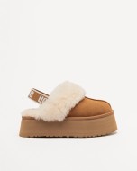 Camur�a 04 Camel