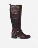  Marron